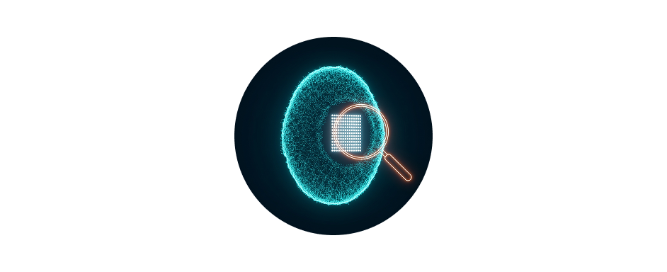 Icon of a magnifying glass over a fingerprint, representing transparency.
